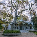 مسجد السليمانية ٢