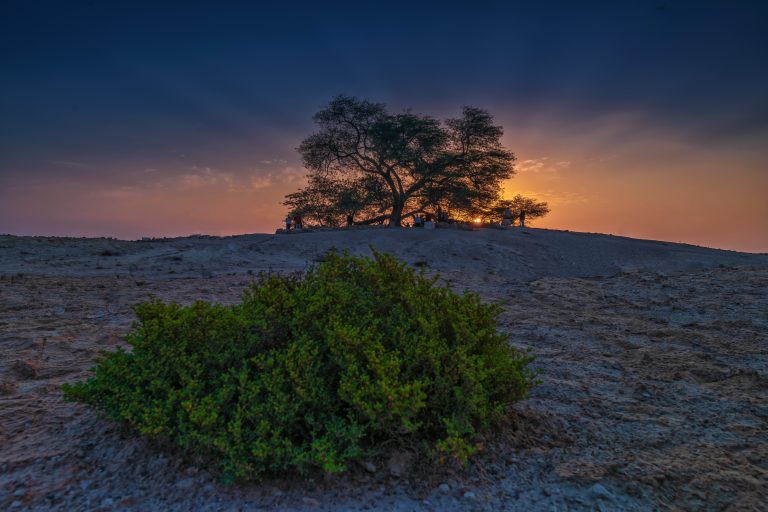 أهم المعالم السياحية الطبيعية في مدينة المنامة
