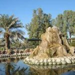 رحلة من مدينة المنامة إلى مدينة الزلاق