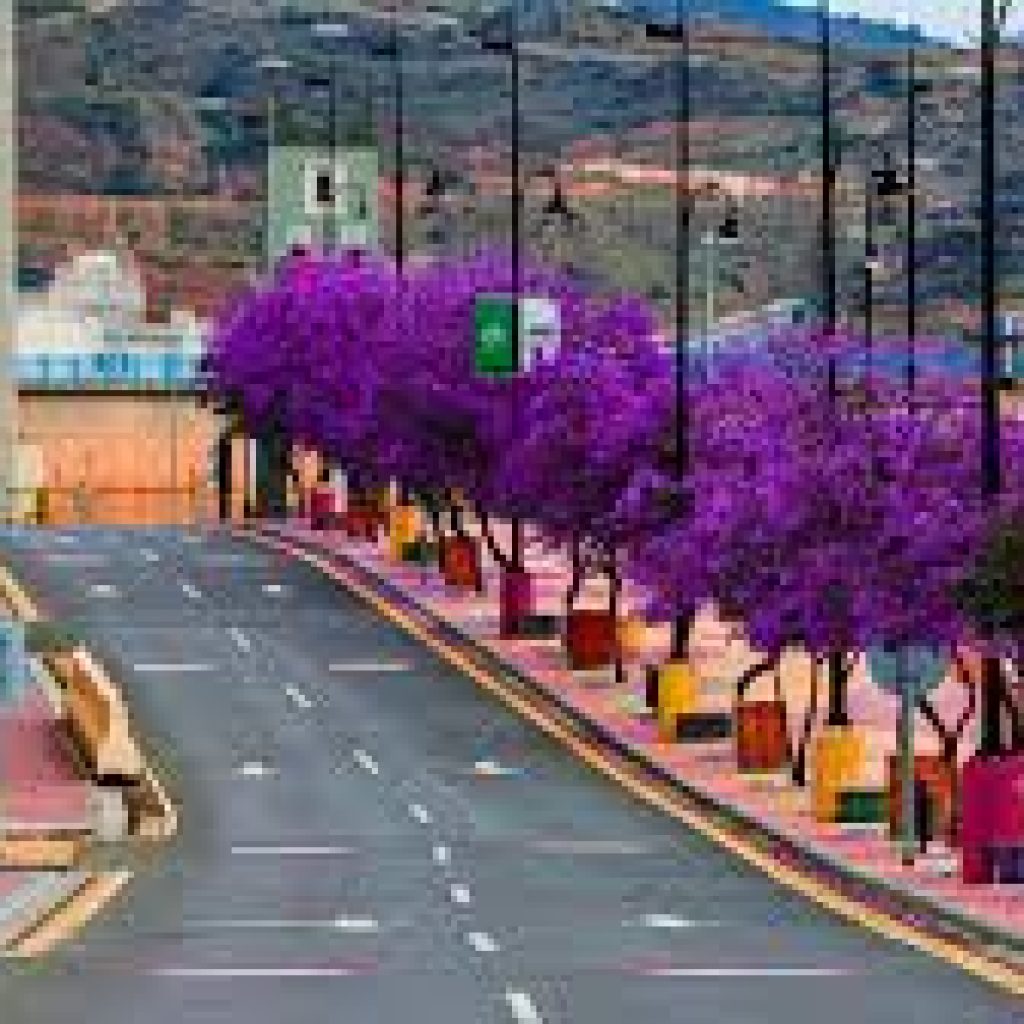 دليلك الشامل لأفضل وقت لزيارة أبها