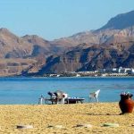 رحلة من مدينة القاهرة إلى مدينة العين السخنة5