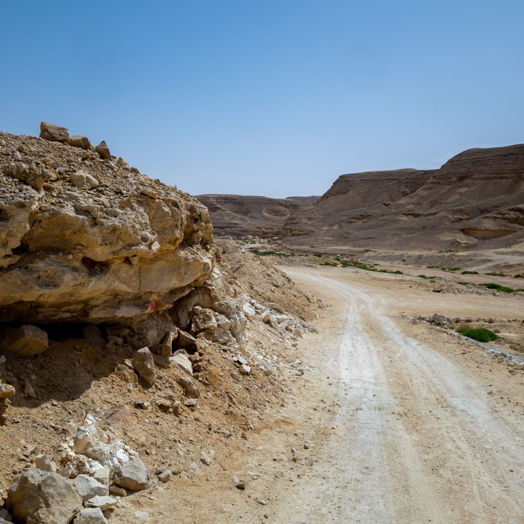 محمية وادي دجلة