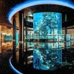 أكواريوم البحرين