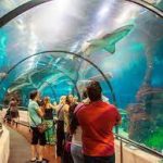 أكواريوم البحرين