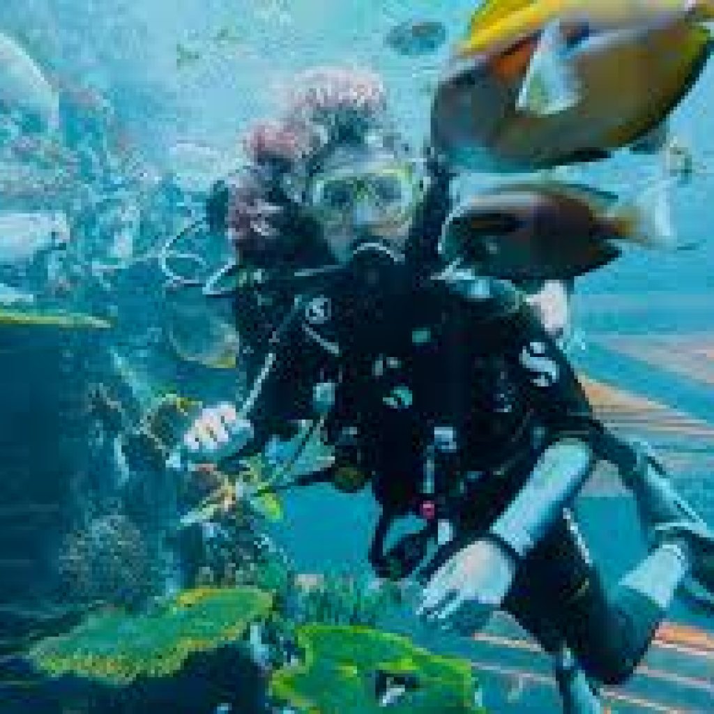 أكواريوم البحرين