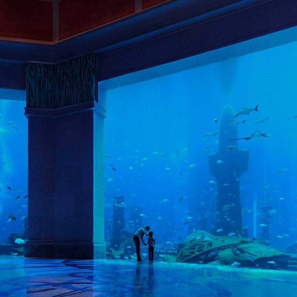 أتلانتس اكواريوم ١