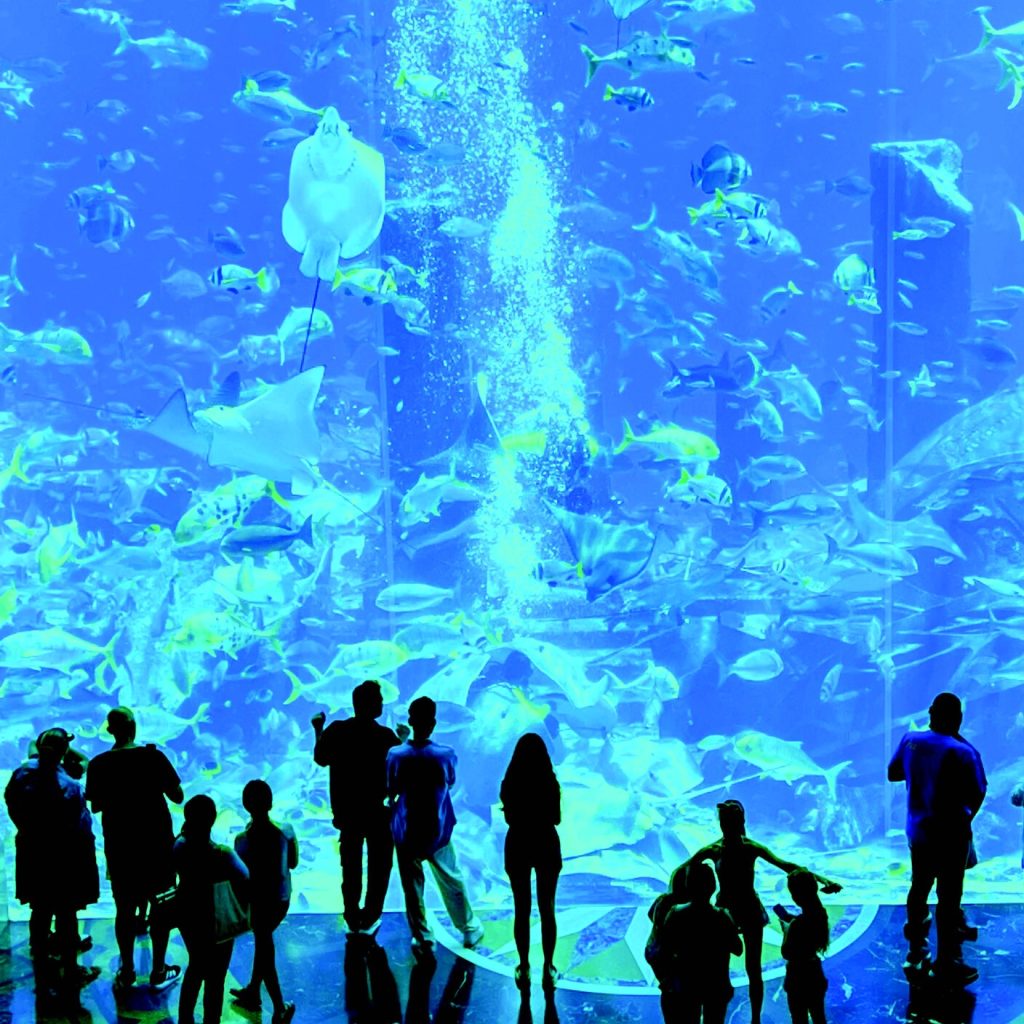 أتلانتس اكواريوم ٣