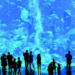 أتلانتس اكواريوم ٣