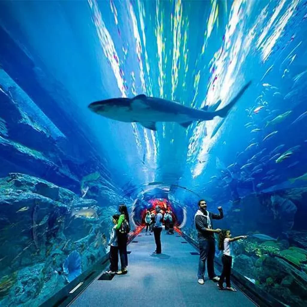 أتلانتس اكواريوم ٤