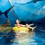 أتلانتس اكواريوم ٥