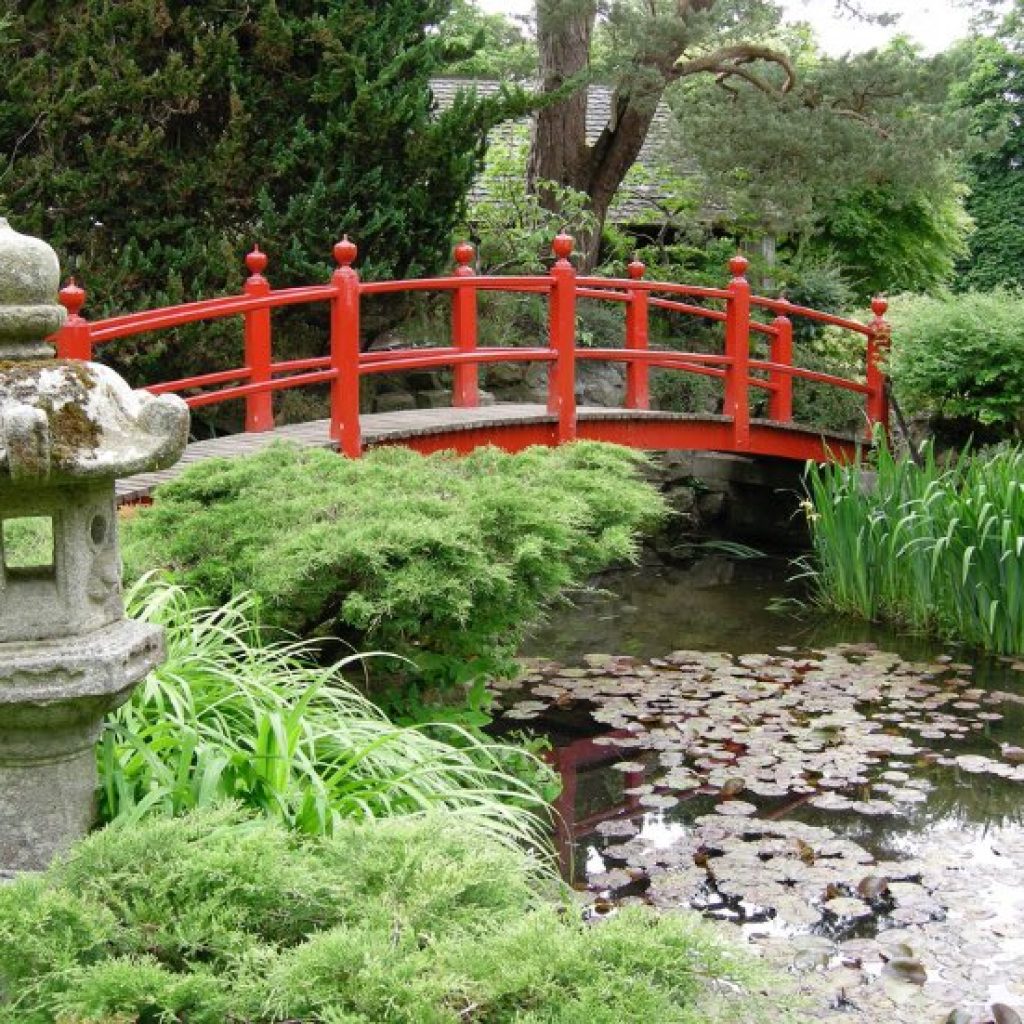 الحديقة اليابانية 6