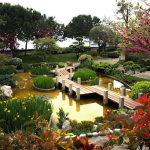 الحديقة اليابانية 2