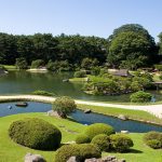 الحديقة اليابانية 3