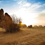 الخريبة “مقابر الأسود” و “محلب الناقة ١