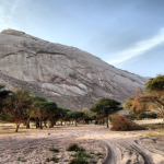 رحلة من مدينة الرياض إلى مدينة الدوادمي