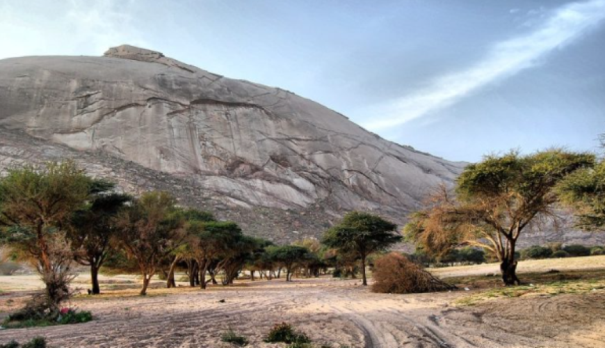 رحلة من مدينة الرياض إلى مدينة الدوادمي