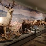 المتحف الوطني الجورجي 4