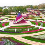 رحلة من مدينة دبي إلى إمارة العين