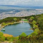 بحيرة السلاحف11