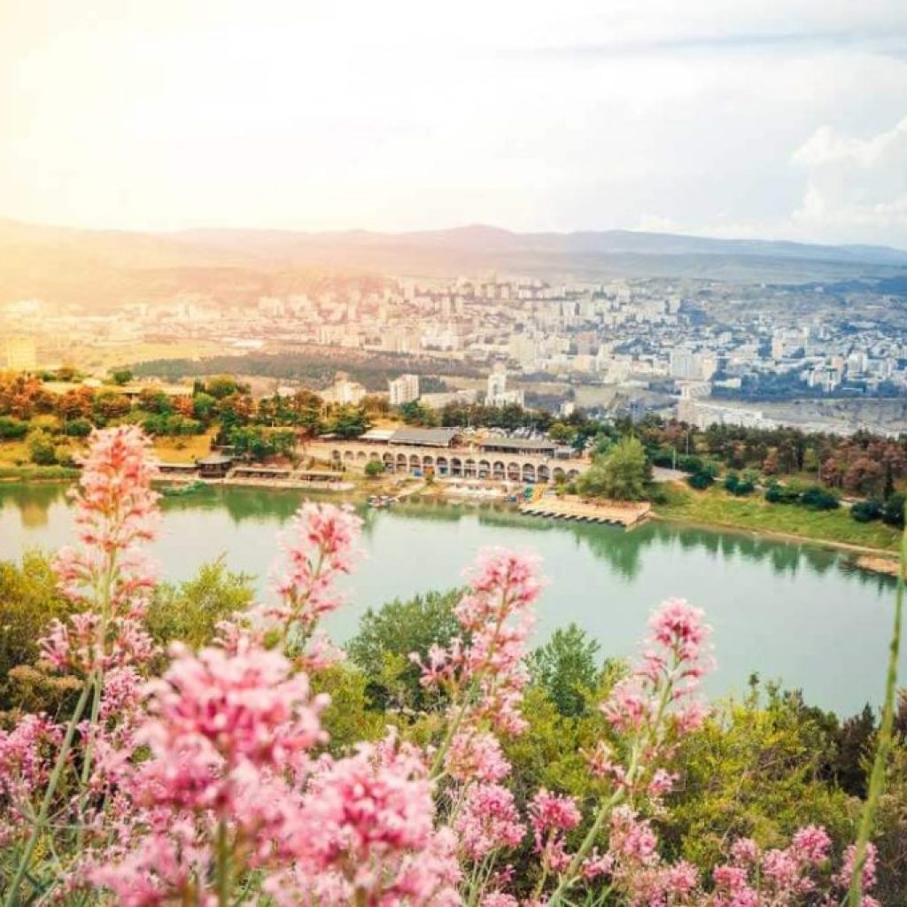 بحيرة السلاحف33