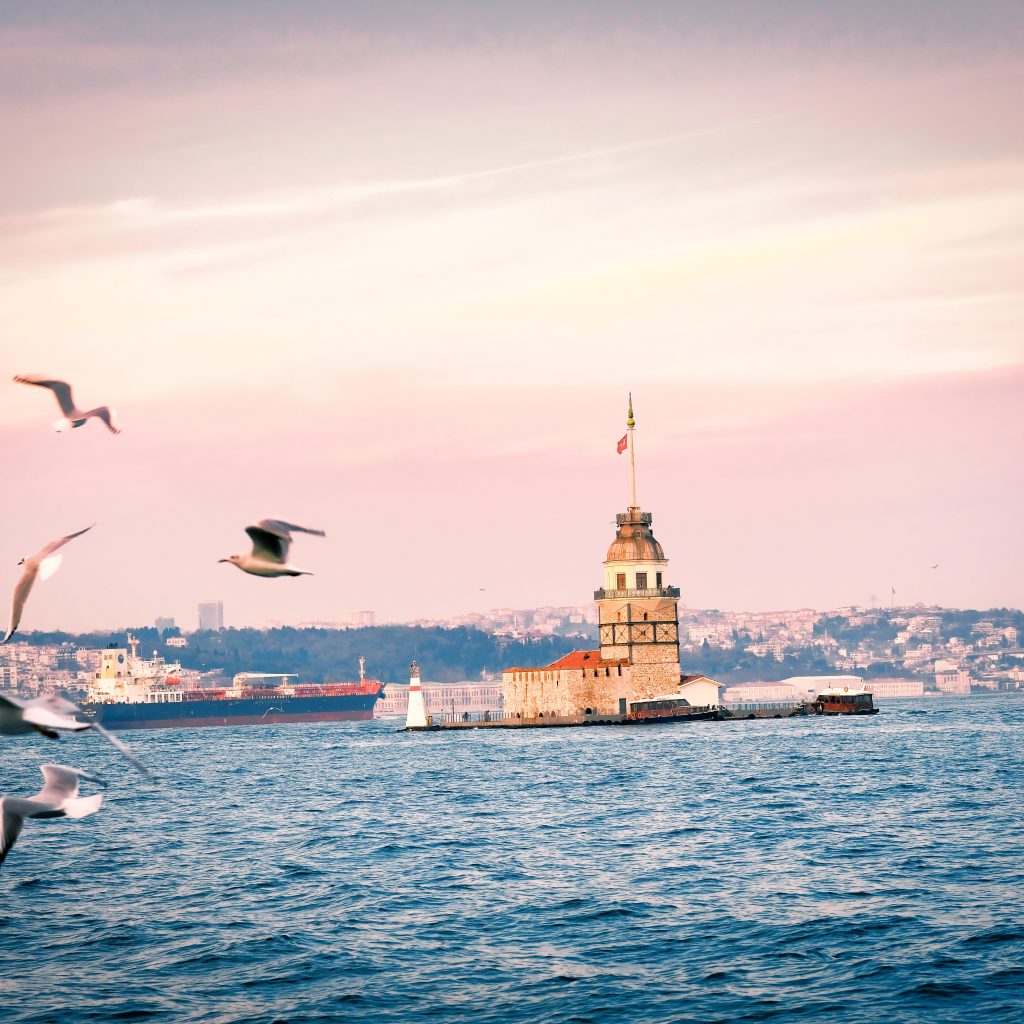 برج العذراء 2