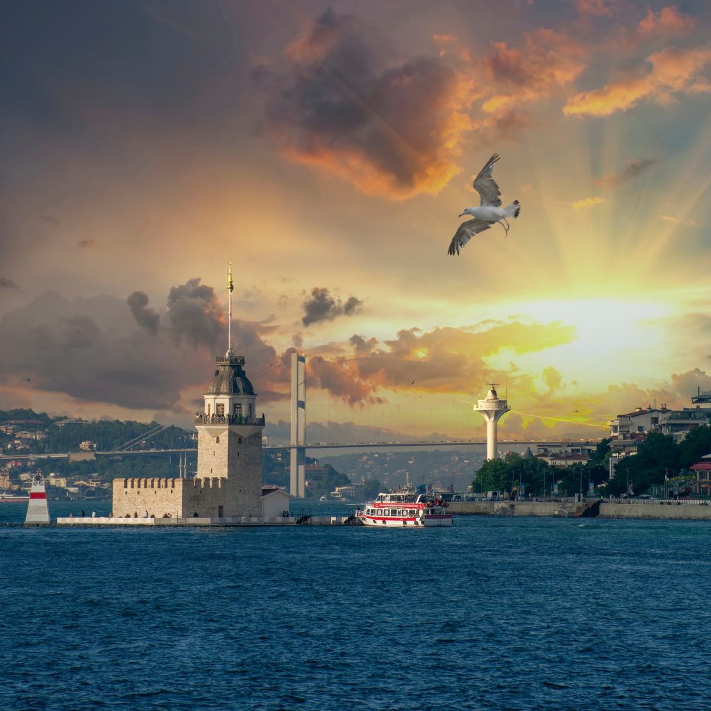 برج العذراء 7