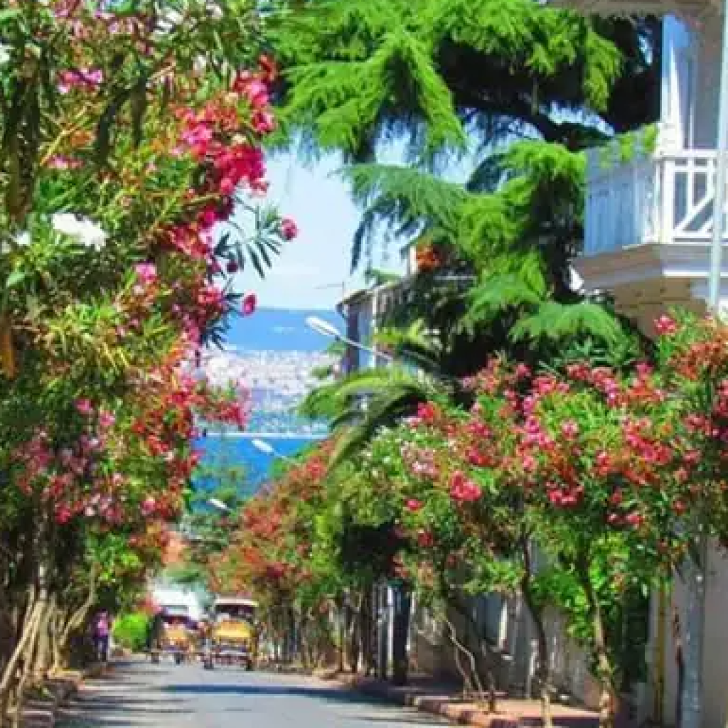 جزيرة الاميرات 2