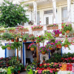 جزيرة الاميرات 3