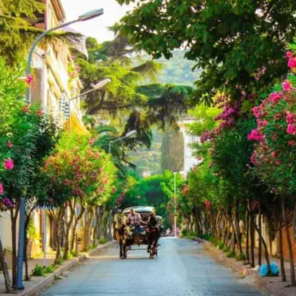 جزيرة الاميرات 4