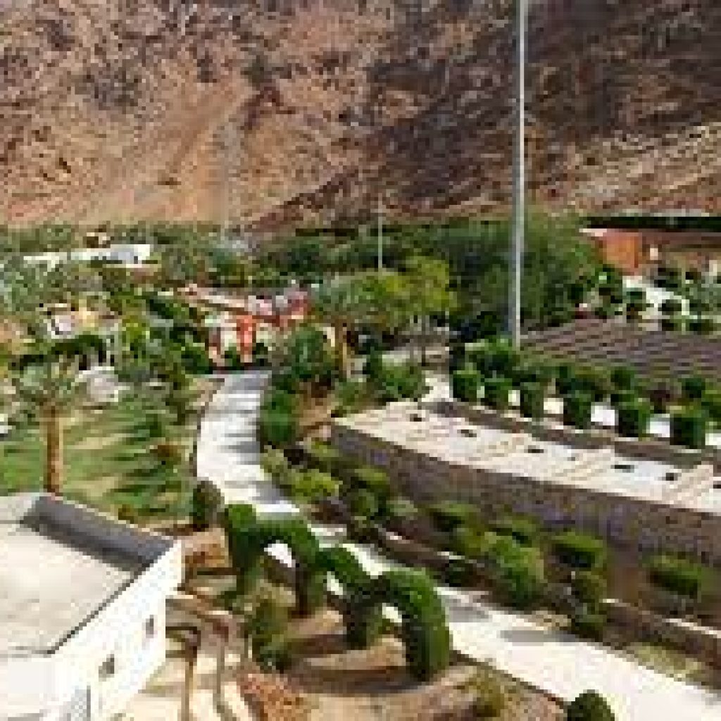 حديقة الأمير محمد بن عبد العزيز4