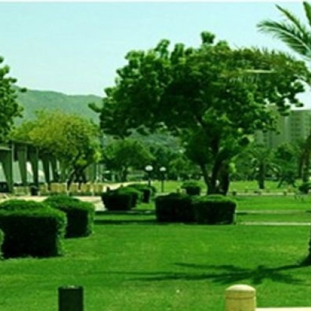 حديقة الأمير محمد بن عبد العزيز2