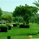 حديقة الأمير محمد بن عبد العزيز2