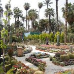 حديقة الأورمان 2