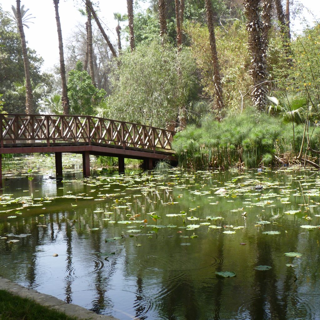 حديقة الأورمان 3