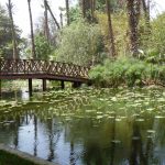 حديقة الأورمان 3