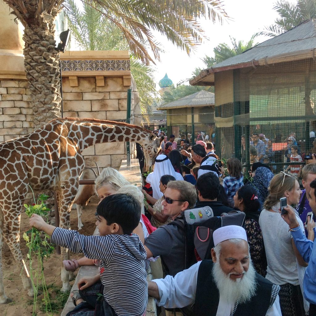 حديقة الإمارات للحيوانات3