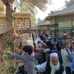 حديقة الإمارات للحيوانات3