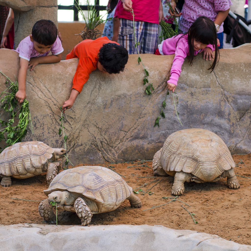 حديقة الإمارات للحيوانات4