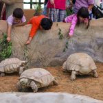 حديقة الإمارات للحيوانات4