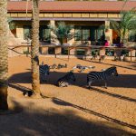 1 حديقة الإمارات للحيوانات