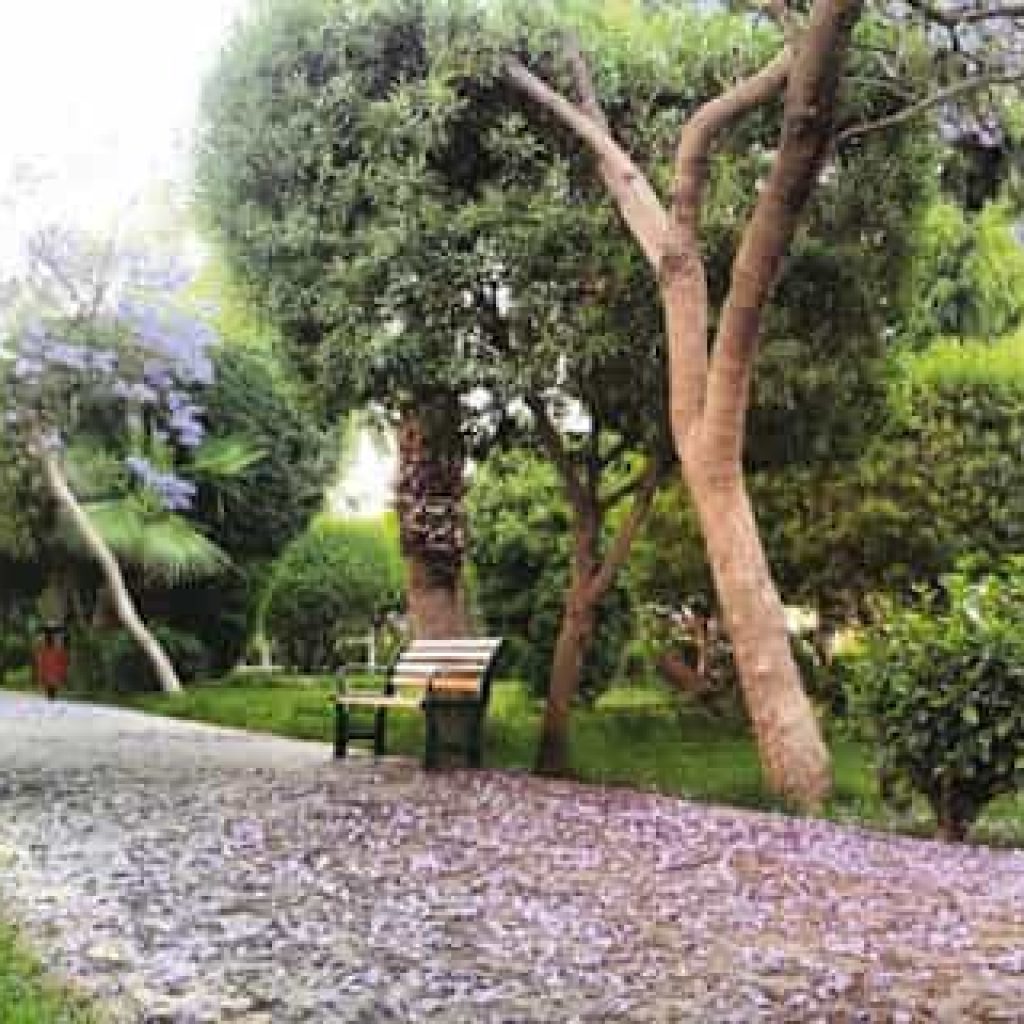 حديقة الاندلس