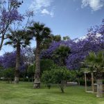 حديقة الاندلس