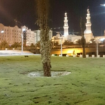 حديقة الحسينية العامة ٤