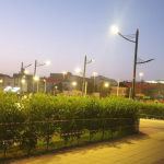 حديقة الدلافين2