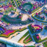 حديقة الزهور (ميراكل جاردن دبي) ١