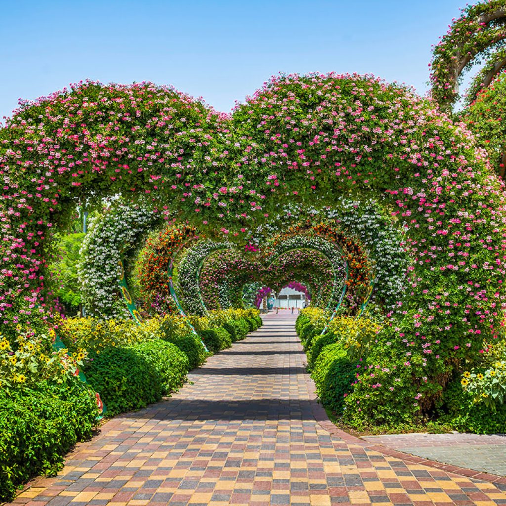 حديقة الزهور (ميراكل جاردن دبي) ٣