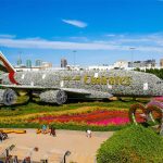 حديقة الزهور (ميراكل جاردن دبي) ٥