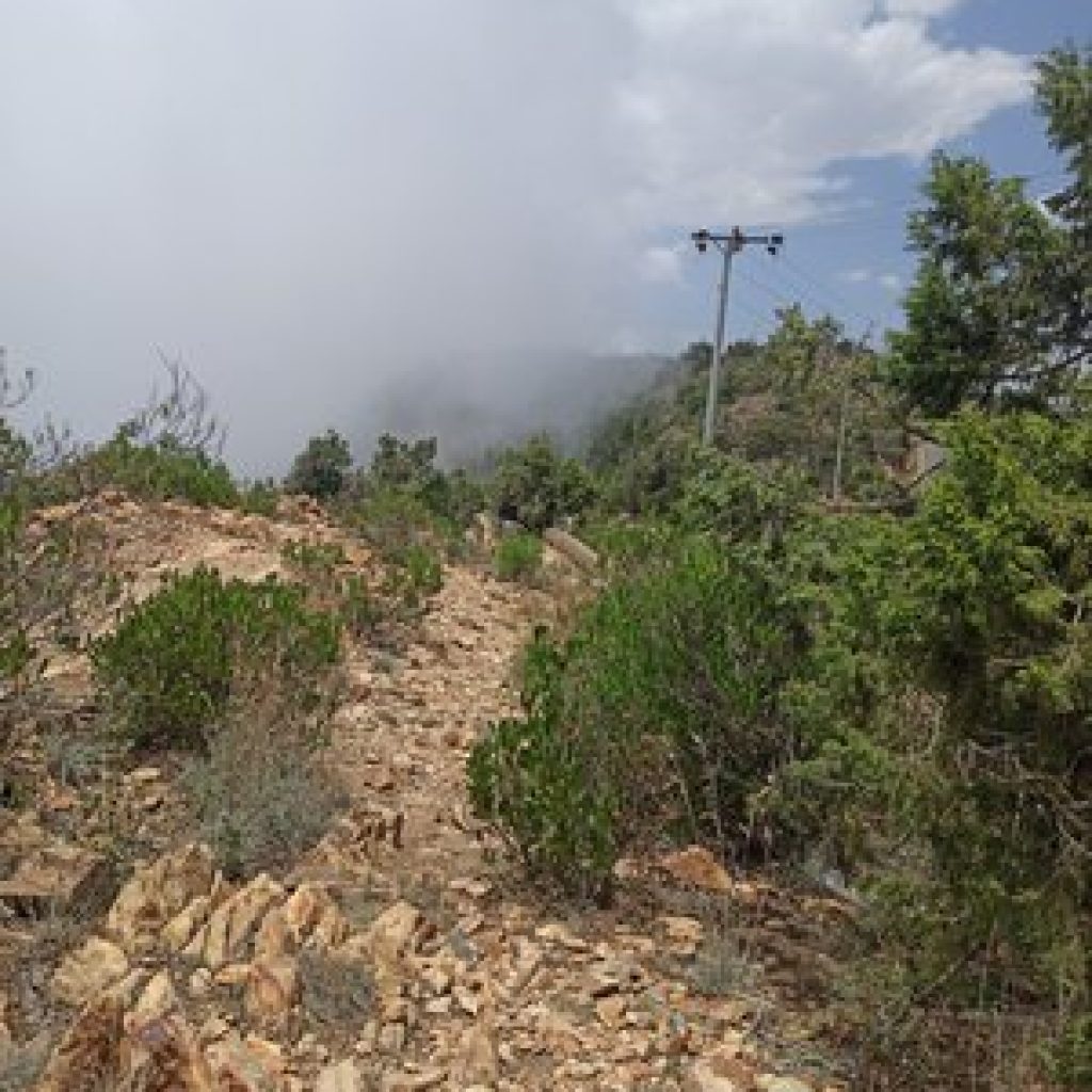 حديقة السحاب