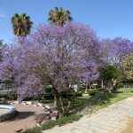 حديقة الشلال