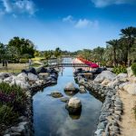 حديقة الصفا ١